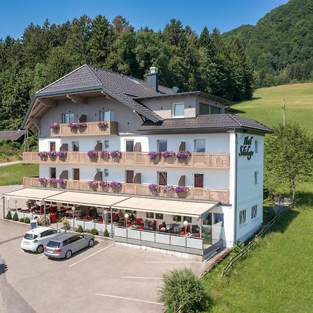 Hotel Schoenberger Nussdorf am Attersee Kültér fotó